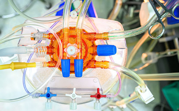 How Is Plastic Injection Molding Used in our Life?